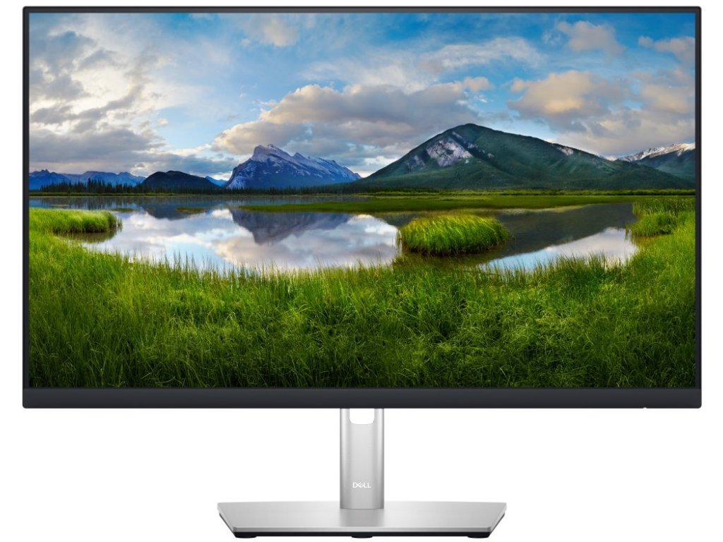DELL monitor 24" P2423D Professional - záruka 3 roky NBD na místě (210-BDEG)