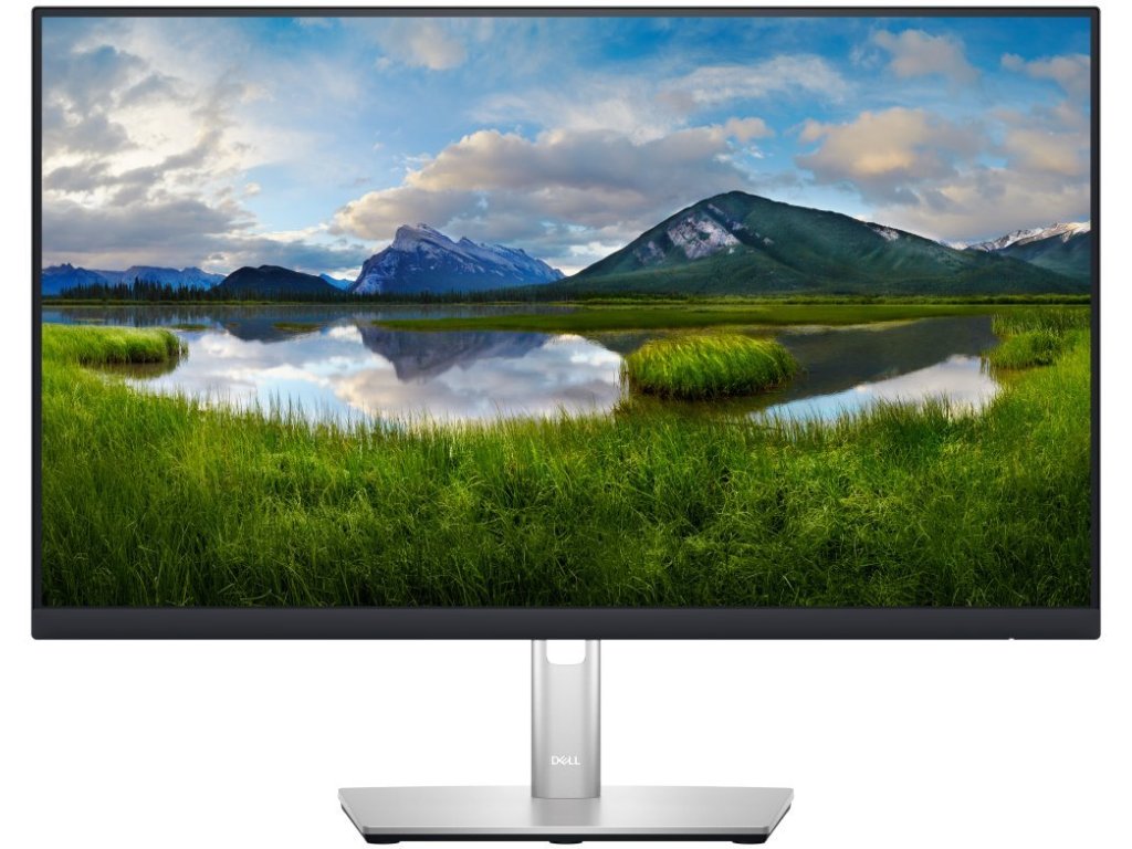 DELL monitor 24" P2423DE Professional - záruka 3 roky NBD na místě (210-BDDW)