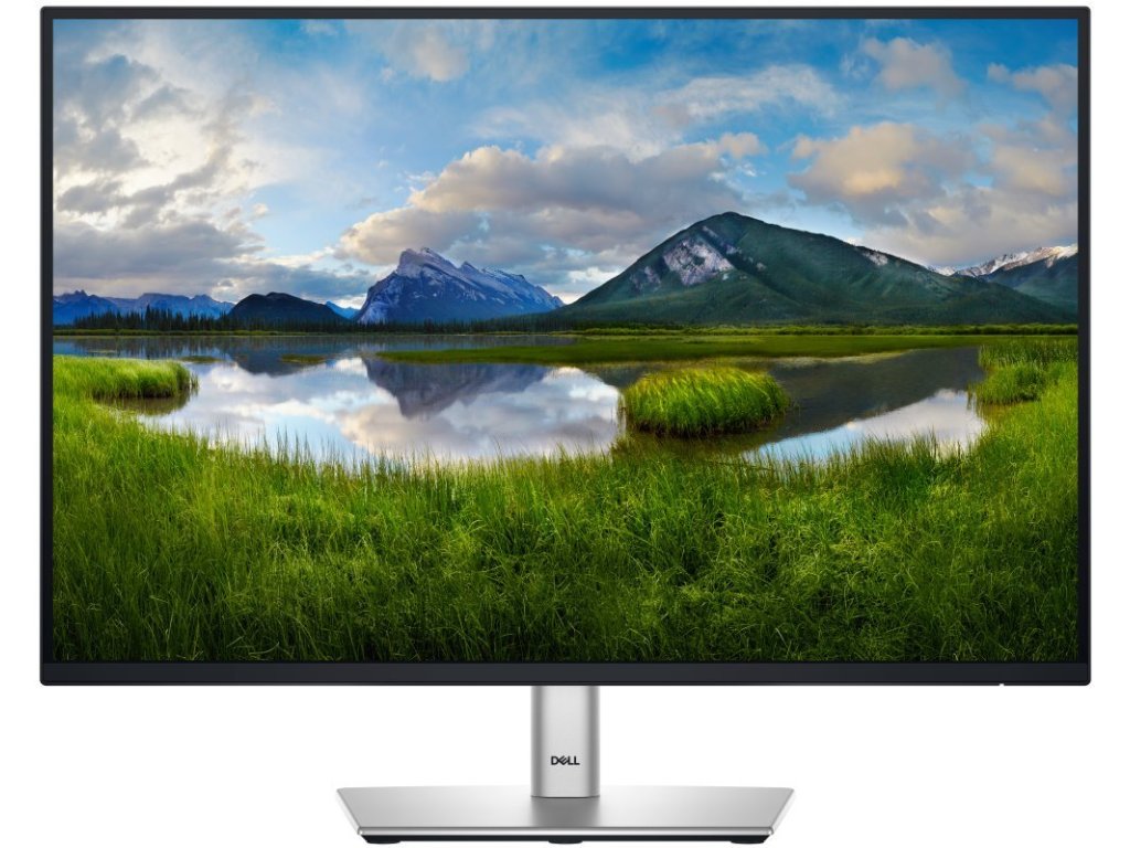 DELL monitor 24" Professional P2425 - záruka 3 roky NBD na místě (210-BMJD)