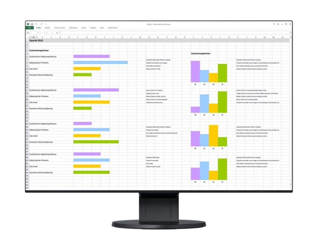EIZO monitor 24" (EV2456-BK)