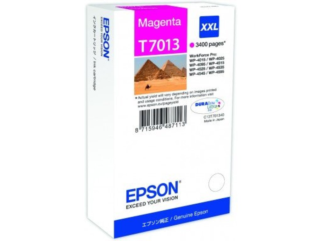 EPSON T7013 (C13T70134010)