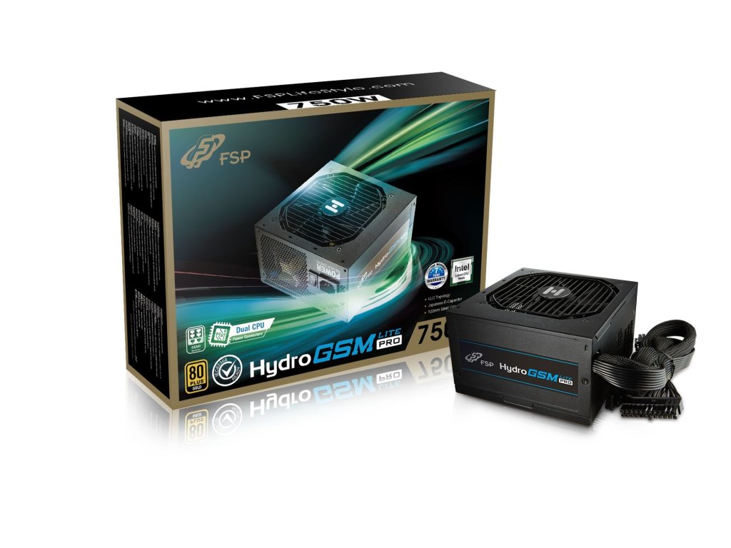 FORTRON HYDRO GSM Lite PRO 750, 80PLUS GOLD, 750W (PPA7506101)