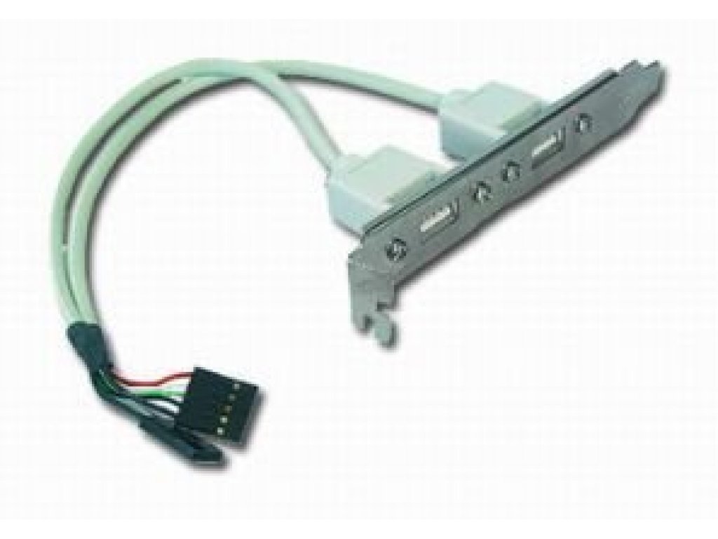 GEMBIRD bracket USB 2.0, 2xA, F, 0,25m (CCUSBRECEPTACLE)