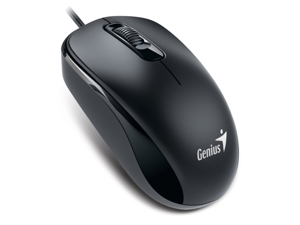 Genius DX-110 - Myš, drátová, optická, 1200DPI, 3 tlačítka, USB-C, černá (31010028401) (31010028401)