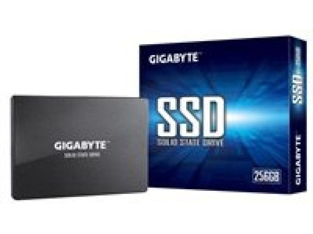 GIGABYTE 256GB (GP-GSTFS31256GTND)