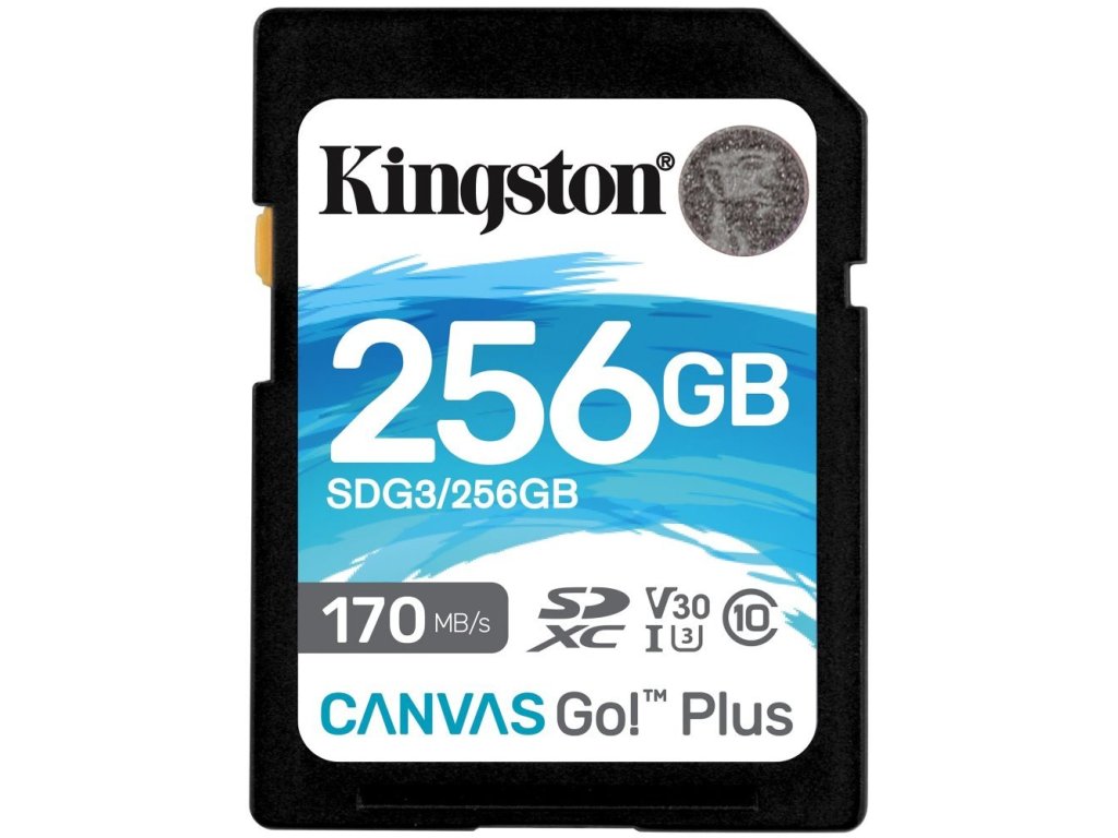 KINGSTON 256GB Canvas Go Plus SDXC (SDG3/256GB)
