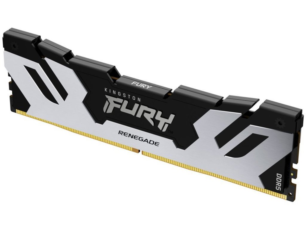 KINGSTON 48GB DDR5 6400MHz FURY Renegade Black/Silv (KF564C32RS-48)