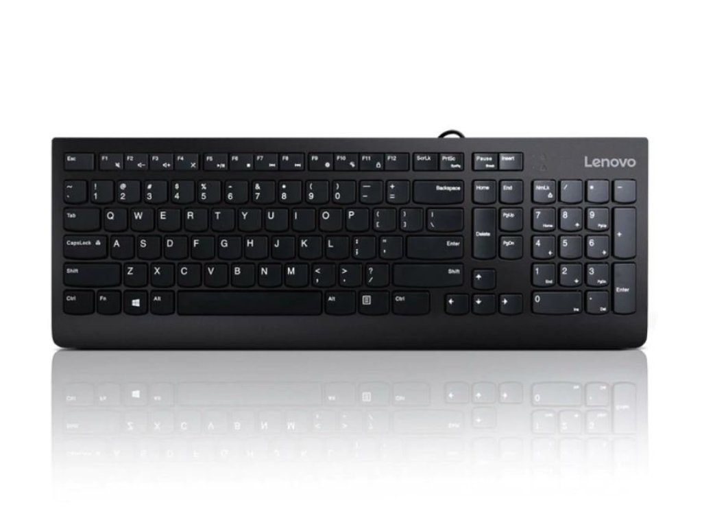 LENOVO klávesnice 300 - USB, černá, CZ/SK (GX30M39663)