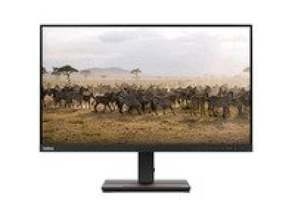 LENOVO monitor 20" ThinkVision E20-30 (62F7KAT4EU)