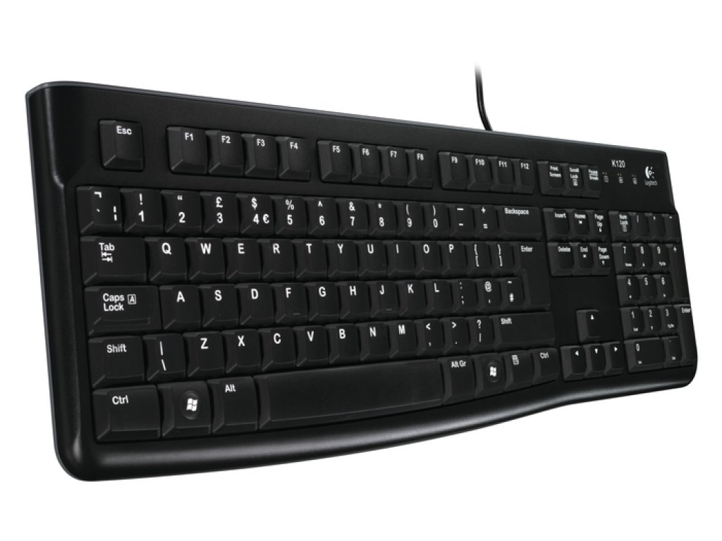 LOGITECH Keyboard K120 - USB, černá, CZ/SK (920-002485)