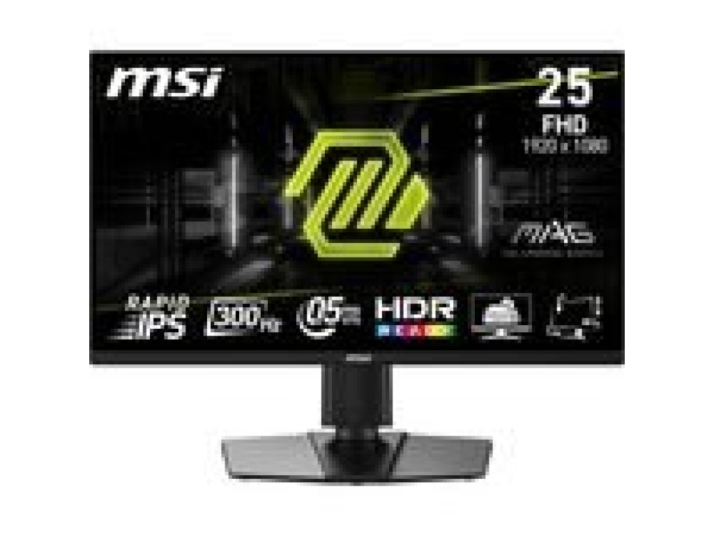 MSI monitor 25" (MAG 255PXF)