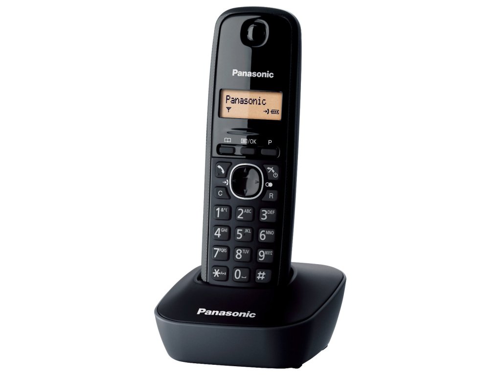 PANASONIC KX-TG1611FXH (5 025 232 621 545)