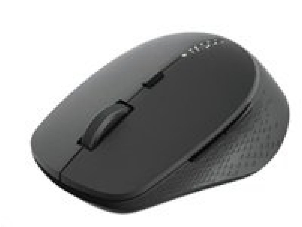 RAPOO M300 Silent Wireless Optical Mouse (6940056180483)