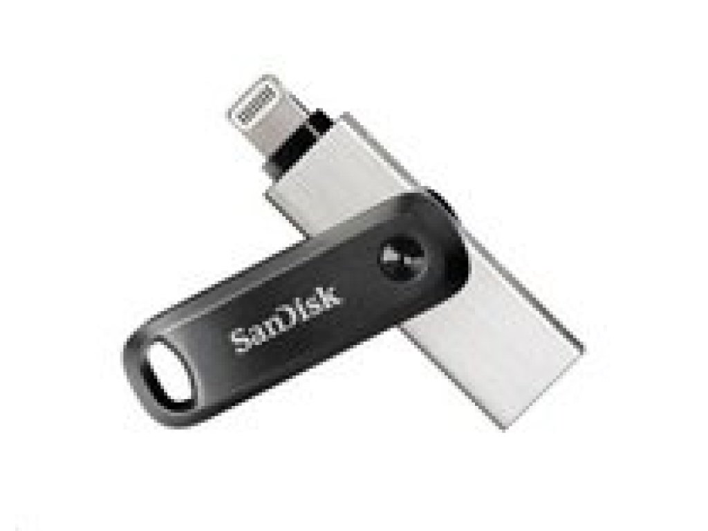 SANDISK 256 GB iXpand Go (SDIX60N-256G-GN6NE)