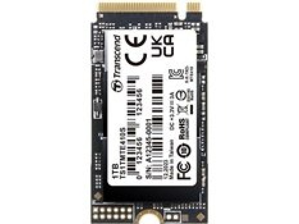 TRANSCEND MTE410S 1TB (TS1TMTE410S)
