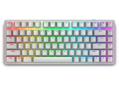 Alienware Pro Wireless Gaming Keyboard - bezdrátová, Lunar Light, US (545-BBFR)