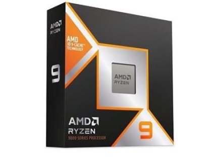 AMD RYZEN 9 9900X3D (100-100001368WOF)