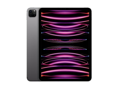 APPLE iPad Pro 11" Wi-Fi + Cellular 2TB - Space Grey (MNYL3FD/A)
