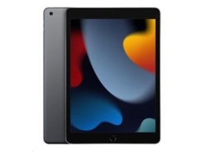 APPLE iPad Wi-Fi 256GB Space Gray (2021) (MK2N3FD/A)