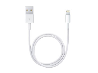 APPLE Lightning to USB Cable 0,5M (ME291ZM/A)
