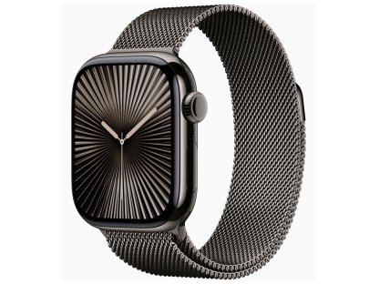 APPLE Watch Series 10 GPS + Cellular 42mm Slate Titanium Case with Slate Milanese Loop (MX053QC/A)