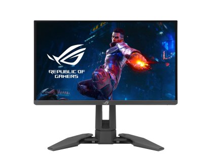 ASUS monitor 24,1" PG248QP (90LM08T0-B01370)