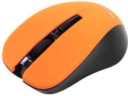 CANYON CMSW1 (CNE-CMSW1O)