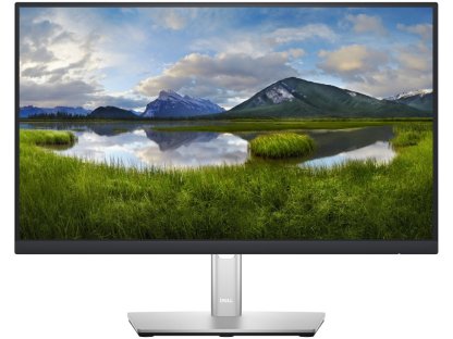 DELL monitor 22" P2222H Professional - záruka 3 roky NBD na místě (210-BBBE)