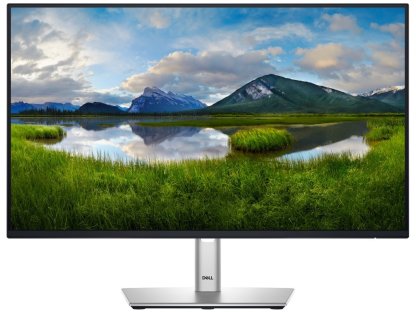 DELL monitor 24" P2425H Professional - záruka 3 roky NBD na místě (210-BMFF)