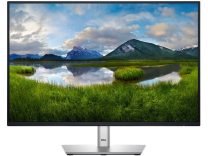 DELL monitor 24" Professional P2425 - záruka 3 roky NBD na místě (210-BMJD)