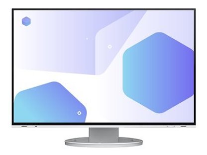 EIZO monitor 24.1" EV2485-WT (EV2485-WT)