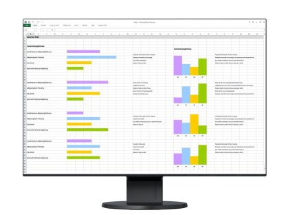EIZO monitor 24" (EV2456-BK)