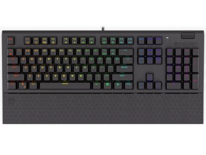Endorfy herní klávesnice Omnis Kailh RD RGB (EY5A030)