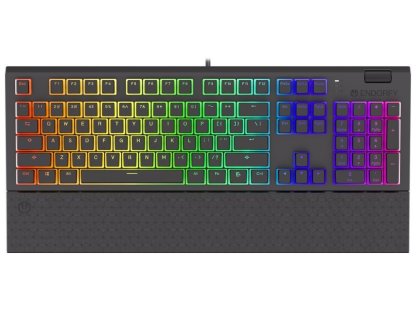 Endorfy herní klávesnice Omnis Pudd.Kailh RD RGB (EY5A033)