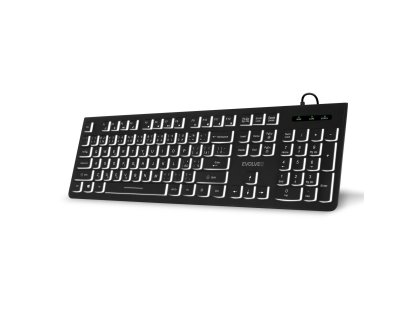 EVOLVEO K1010, tichá klávesnice s bílým podsvícením, CZ+SK, černá (K1010-BK-CZ)