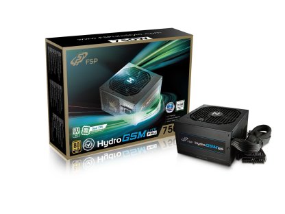 FORTRON HYDRO GSM Lite PRO 750, 80PLUS GOLD, 750W (PPA7506101)
