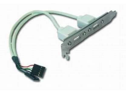 GEMBIRD bracket USB 2.0, 2xA, F, 0,25m (CCUSBRECEPTACLE)