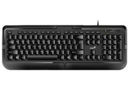 GENIUS klávesnice KB-118 - drátová, USB, černá, CZ/SK (31300010403)