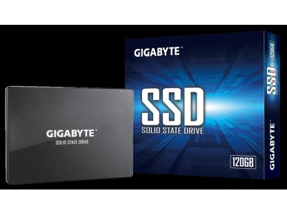 GIGABYTE 120GB (GIG GP-GSTFS31120GNTD)