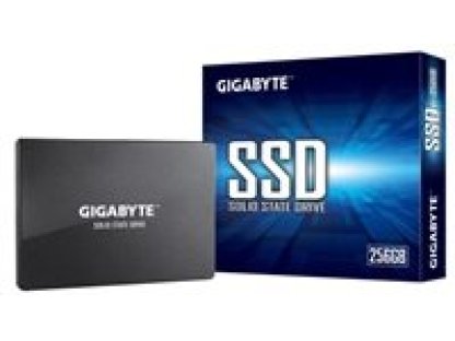 GIGABYTE 256GB (GP-GSTFS31256GTND)