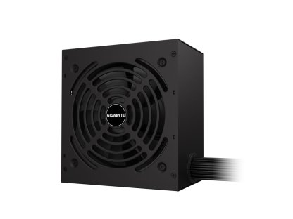 GIGABYTE 650W GP-P650G (GP-P650G)