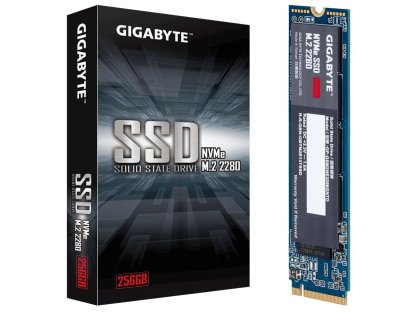 GIGABYTE NVMe SSD 256GB (GP-GSM2NE3256GNTD)