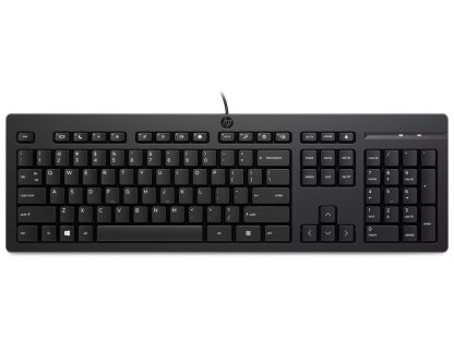 HP 125 kabelová klávesnice USB, černá, CZ/SK/ENG (266C9AA#BCM)