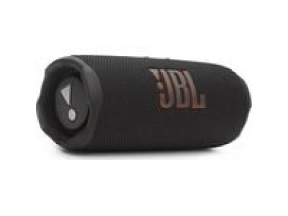 JBL Flip 7 černá (1200130019272)