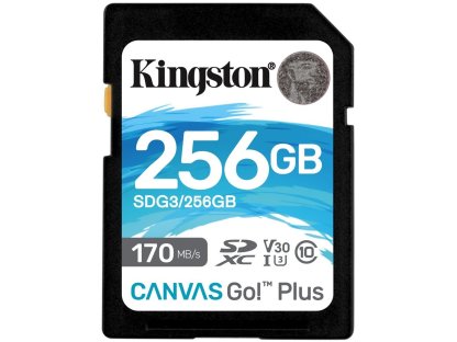 KINGSTON 256GB Canvas Go Plus SDXC (SDG3/256GB)
