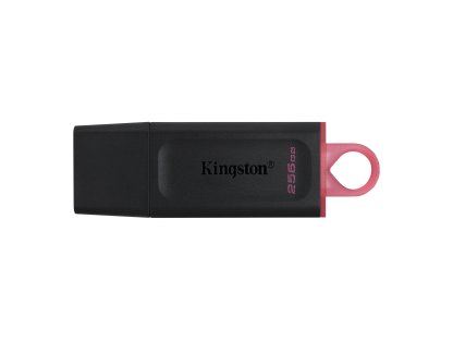 KINGSTON 256GB DT Exodia růžová (DTX/256GB)