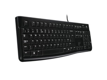 LOGITECH Keyboard K120 for Business CZ/SK layout (920-002641)