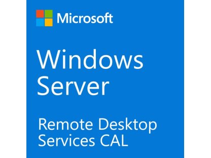 Microsoft CSP Windows Server 2022 Remote Desktop Services 1 User CAL (DG7GMGF0D7HX)