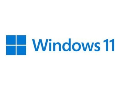 MICROSOFT Windows 11 Pro FPP 64-bit Czech USB (HAV-00178)