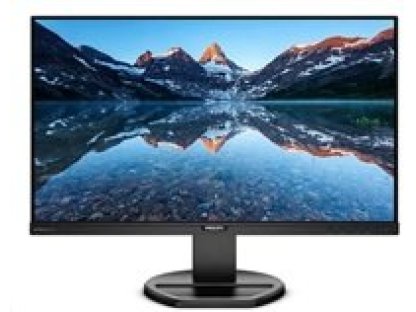 PHILIPS monitor 25" LED (252B9/00)
